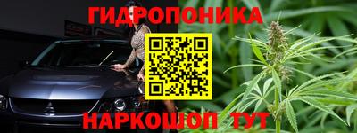 крисы Вязьма
