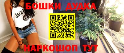 крисы Вязьма